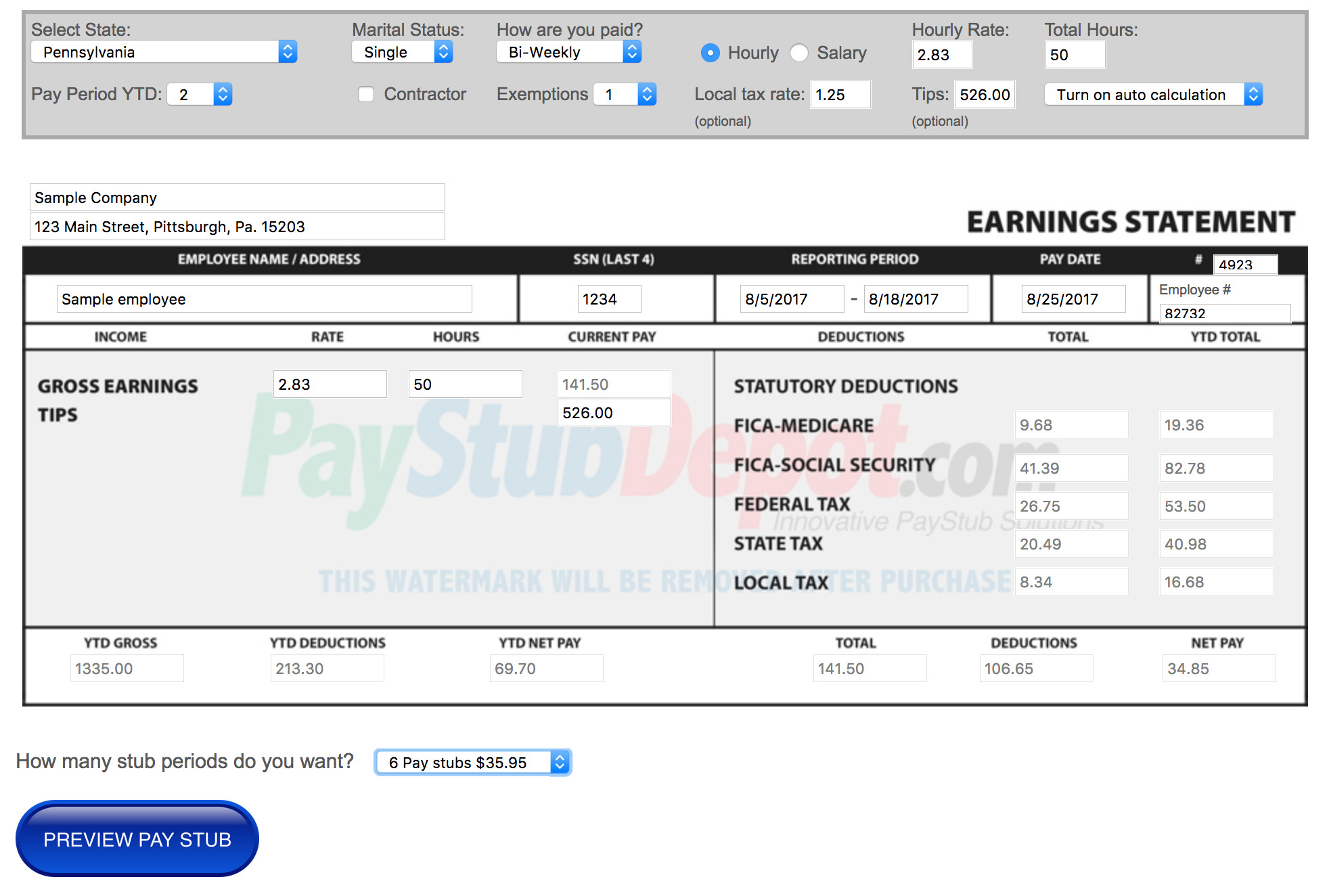 great looking paystub